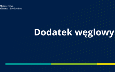 Zdjęcie do Dodatek węglowy